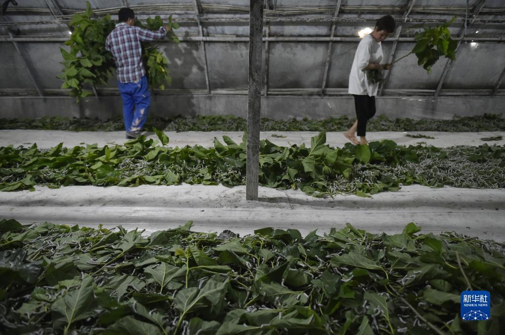 新百易教育官网